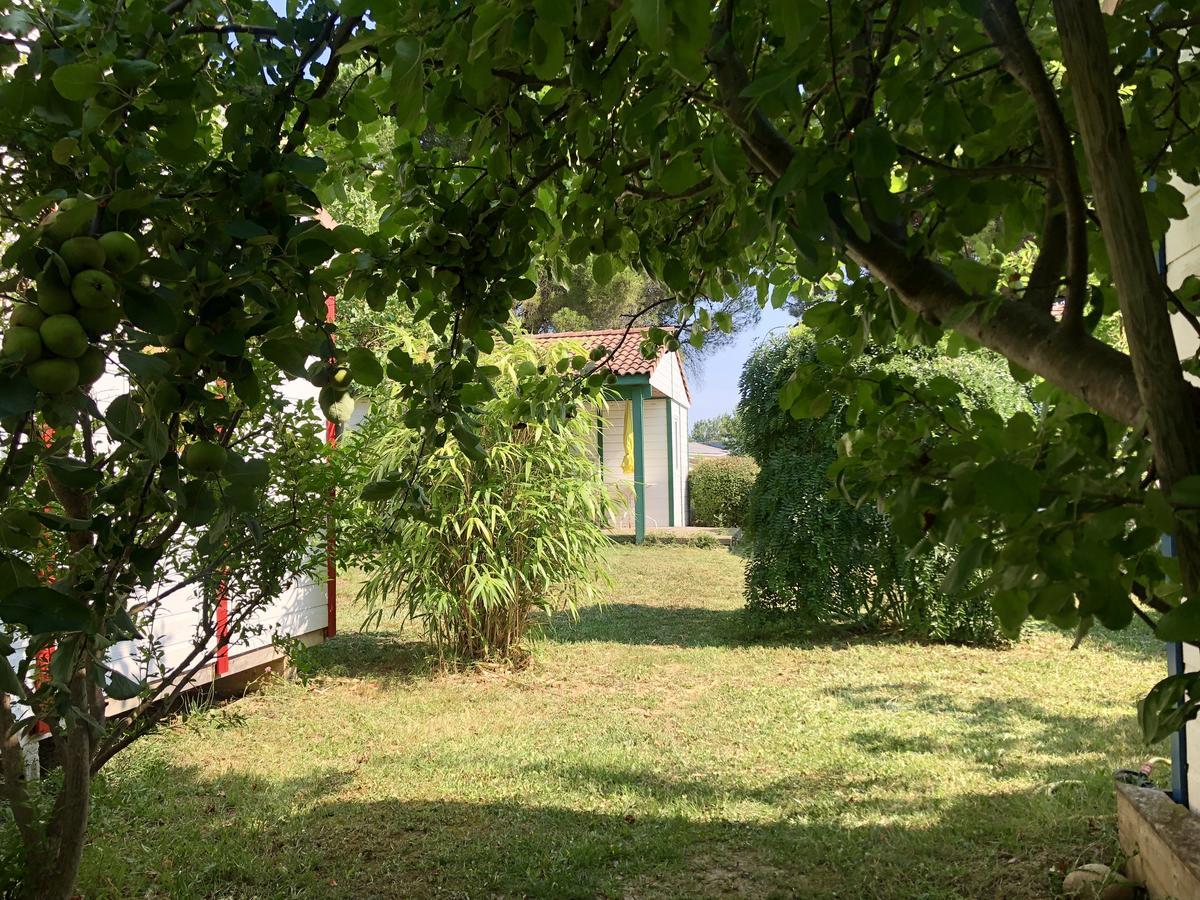 Bungalows&rooms - Gît'ôstal Carcassonne
